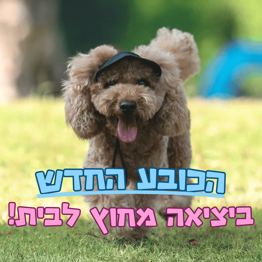 כובע כלב מנדף פרמיום - ליציאה מחוץ לבית